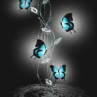 Tonya Hughes-Dillard